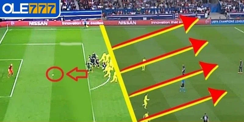 Các loại phổ biến