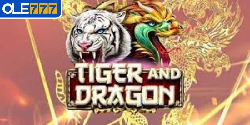 Dragon Tiger là gì