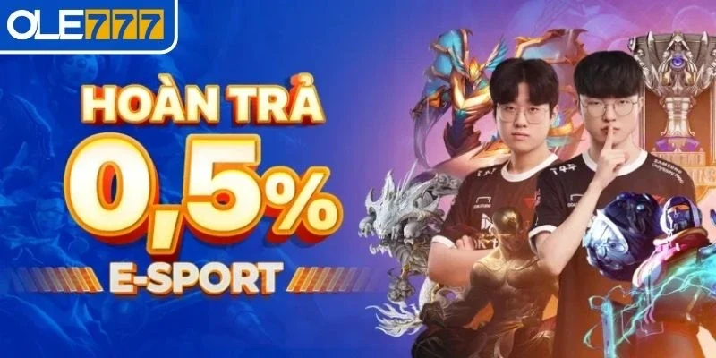 Hấp dẫn qua từng chương trình khuyến mãi