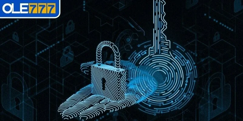 Vai trò của chính sách quyền riêng tư tại OLE777